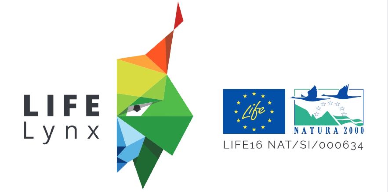 Zaključni rezultati projekta LIFE Lynx na Gorenjskem in bodoče delo z risi v Alpskem prostoru