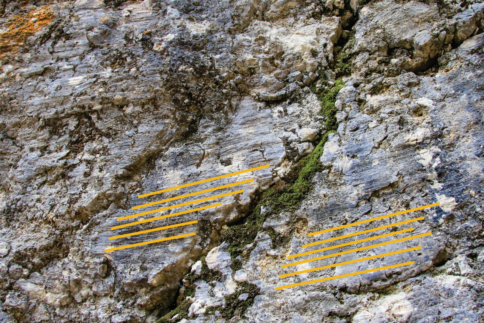Ledeniški obrus