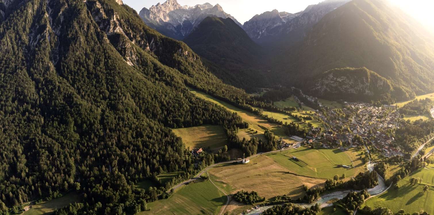 Vloge in obrazci