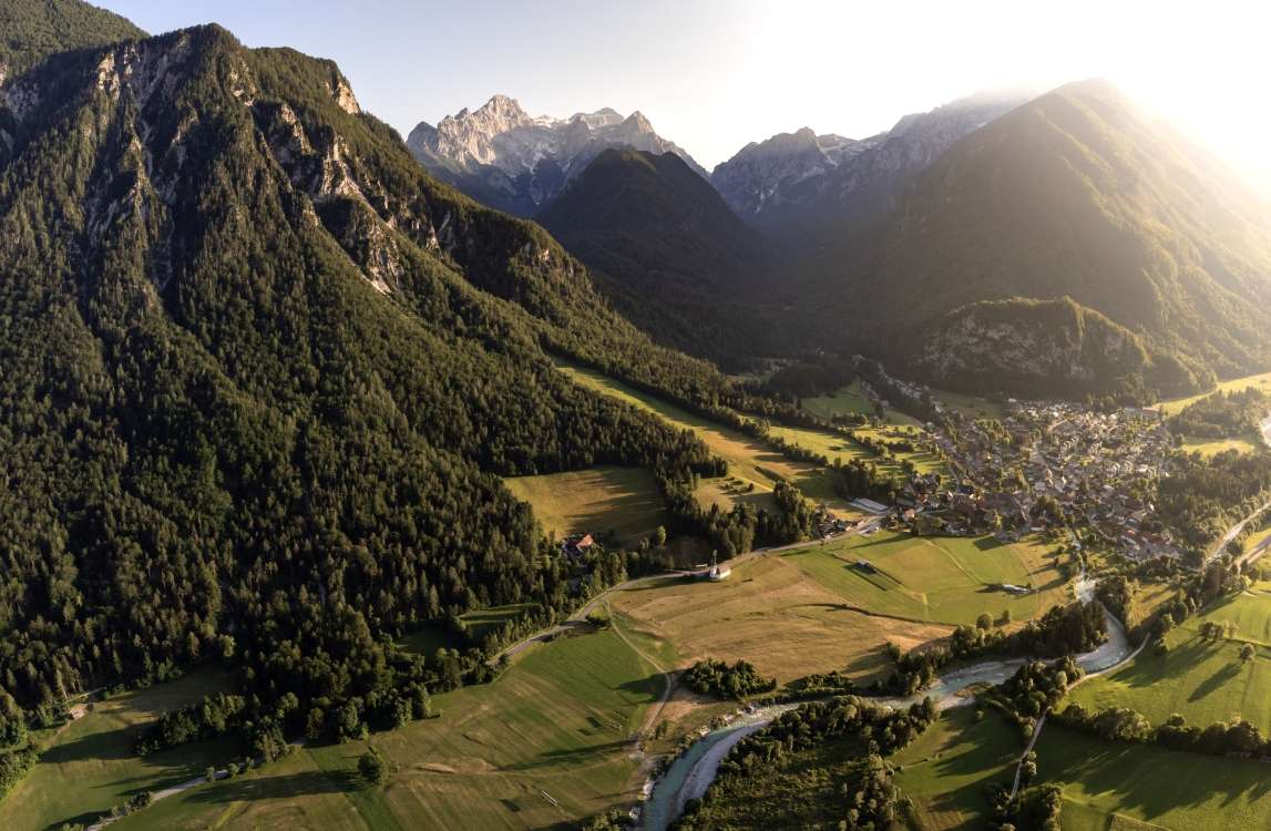 Vloge in obrazci