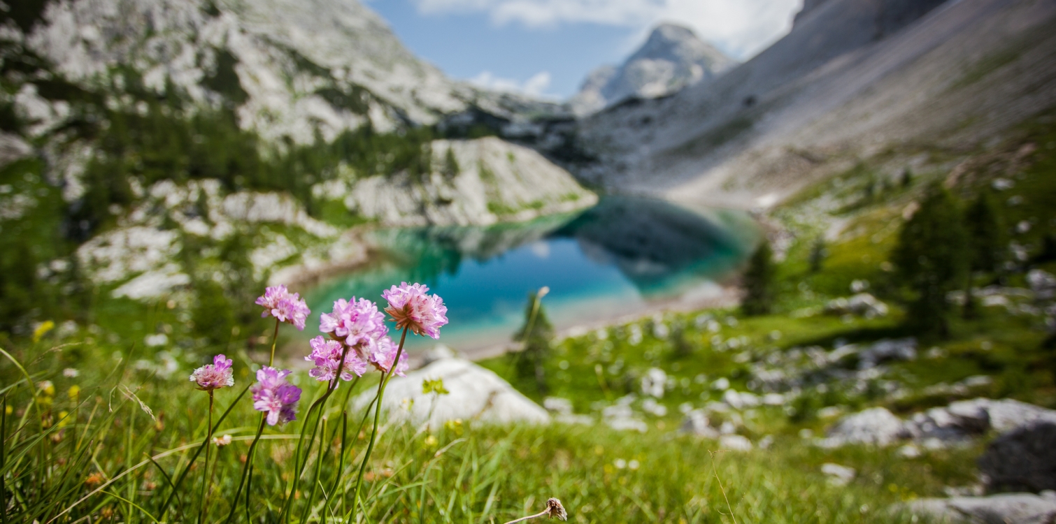 Transboundary Ecoregion Julian Alps