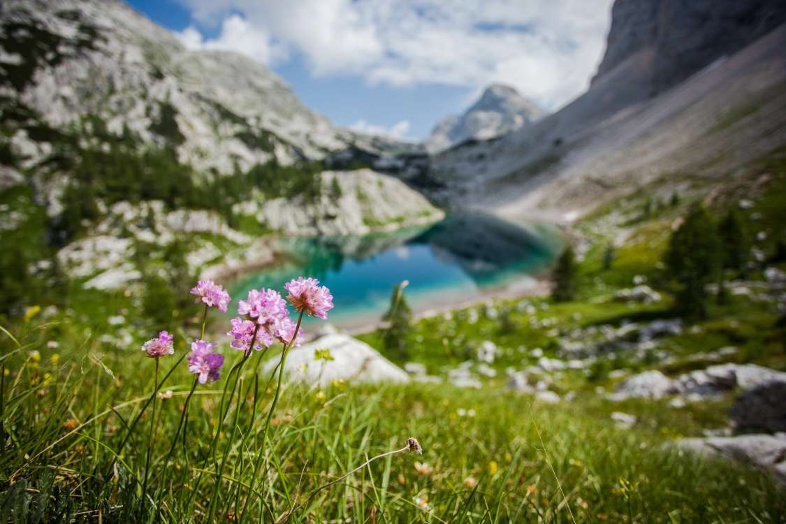 Julian Alps Transboundary Biosphere Reserve 