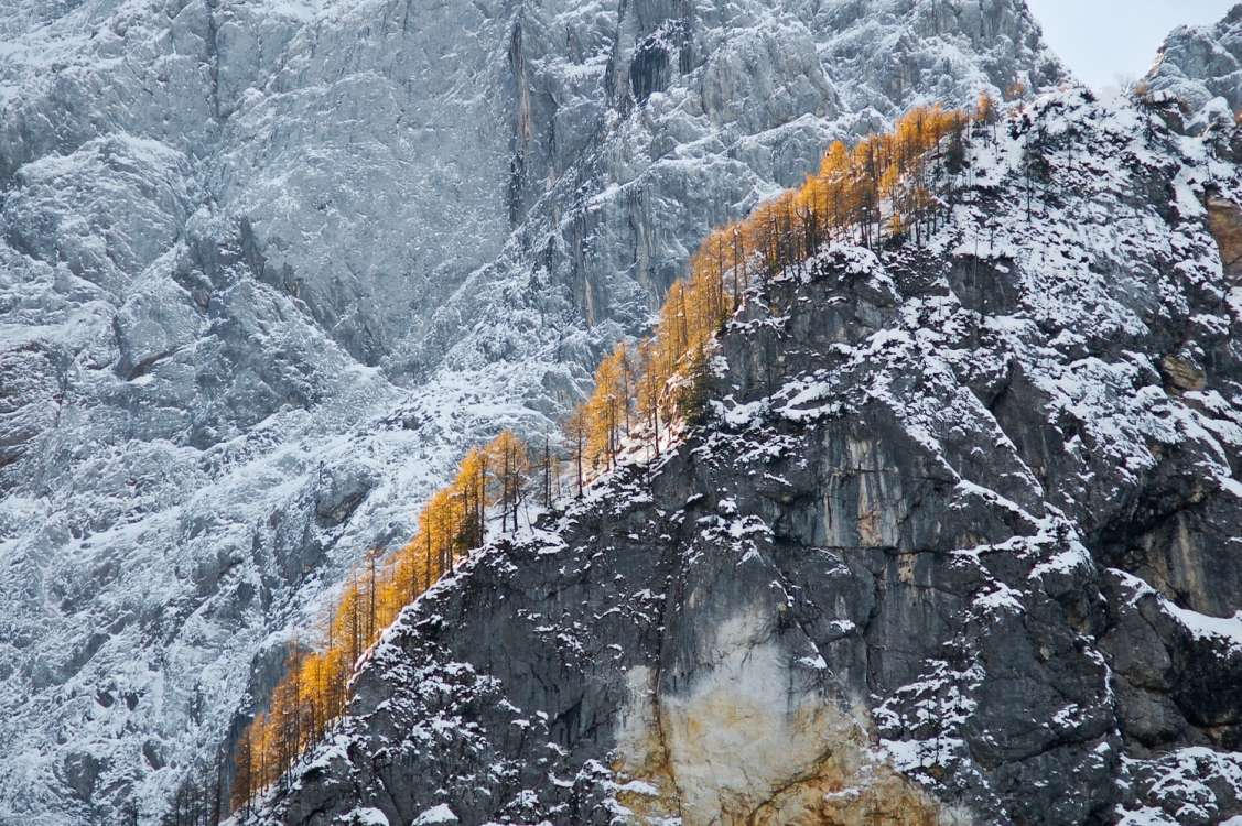 Soglasja