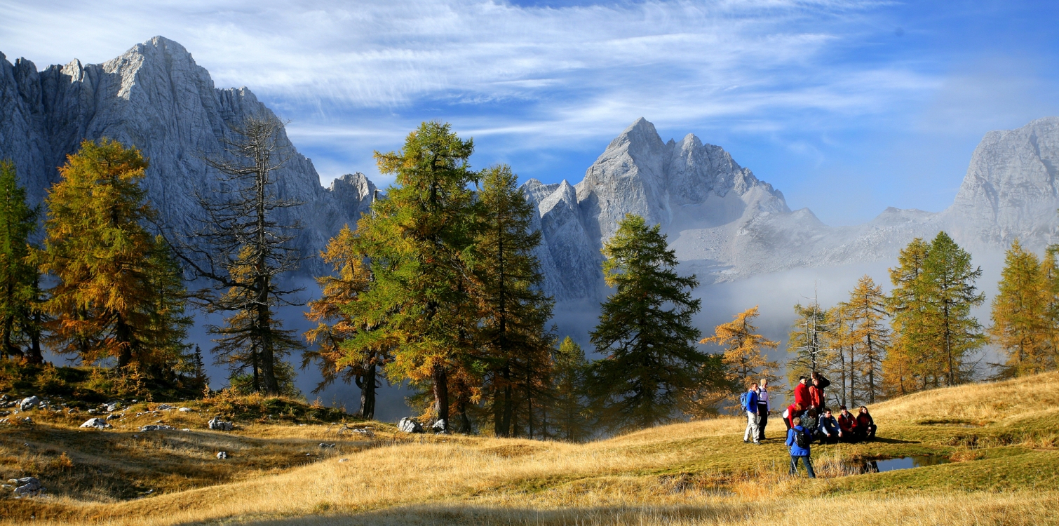 Aktivnosti in znamenitosti po območjih