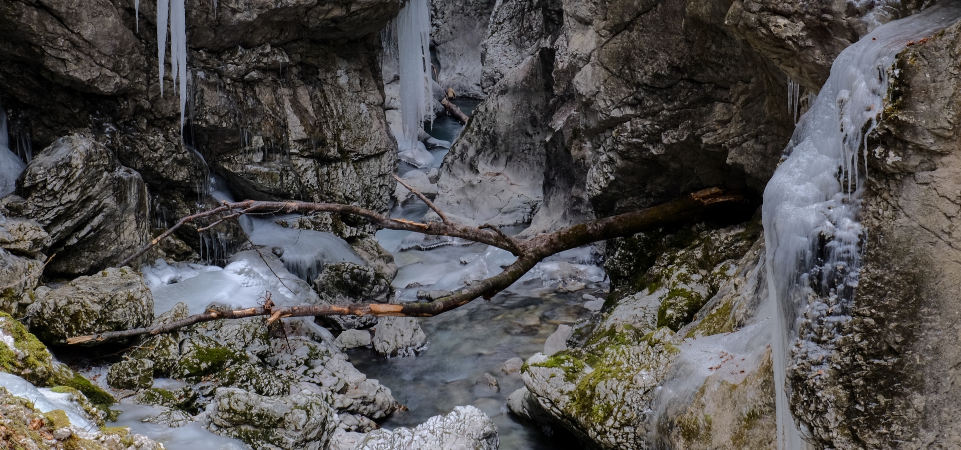 Vodnik za obiskovalce Biosfernega območja Julijske Alpe -  Zima 2025/2026