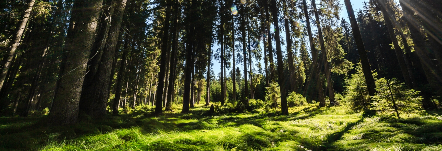 Quiet zones of Triglav National Park