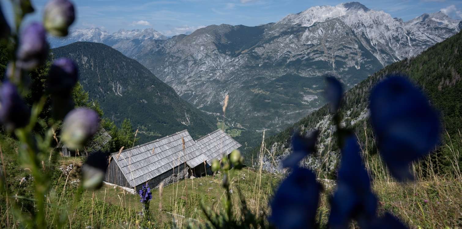 Vizija in zgodovina Triglavskega narodnega parka