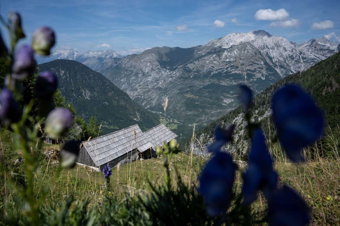 Vizija in zgodovina Triglavskega narodnega parka