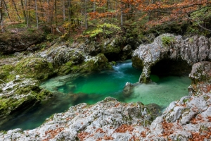 Korita Mostnice- za izobraževalne ustanove 
