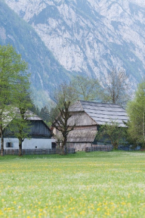 Das Pocar-Gehöft in Zgornja Radovna