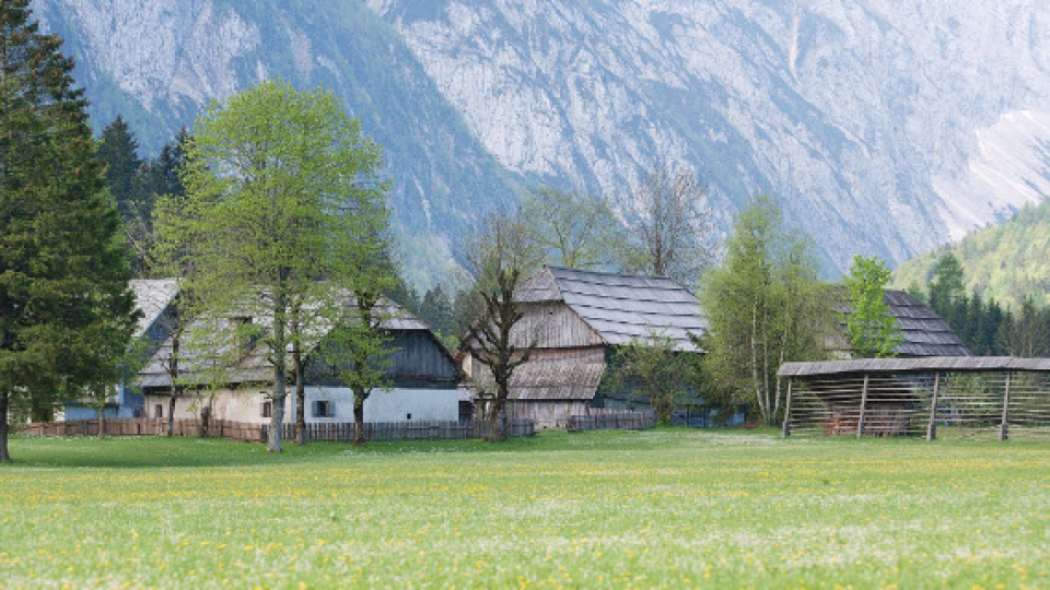 Das Pocar-Gehöft in Zgornja Radovna