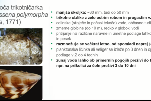 VODE - predavanji (dr. David Stanković, NIB in doc. dr. Jurij Trontelj, Fakulteta za farmacijo UL)