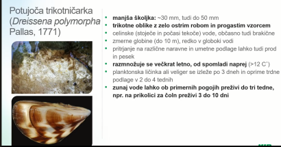 VODE - predavanji (dr. David Stanković, NIB in doc. dr. Jurij Trontelj, Fakulteta za farmacijo UL)