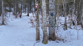 Dolina Krma - Kredarica