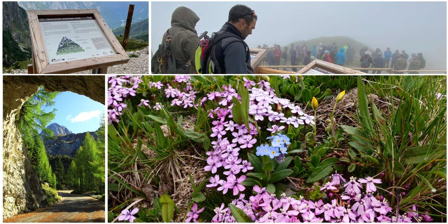 (CANCELLED) MANGRT EDUCATIONAL TRAIL - free guided hike