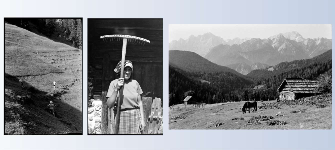 The Ukve/Ugovizza alpine pastures