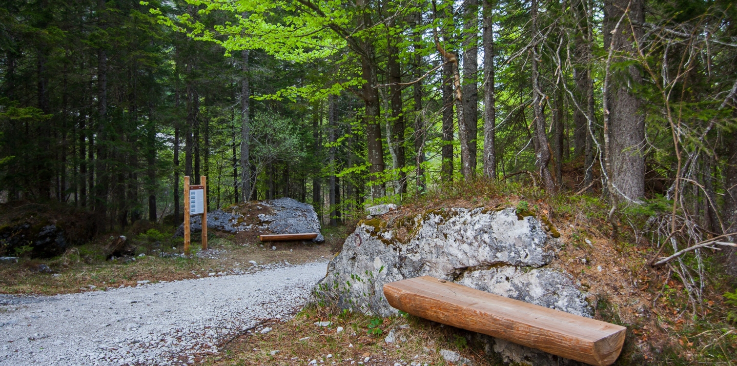 Planica Tamar