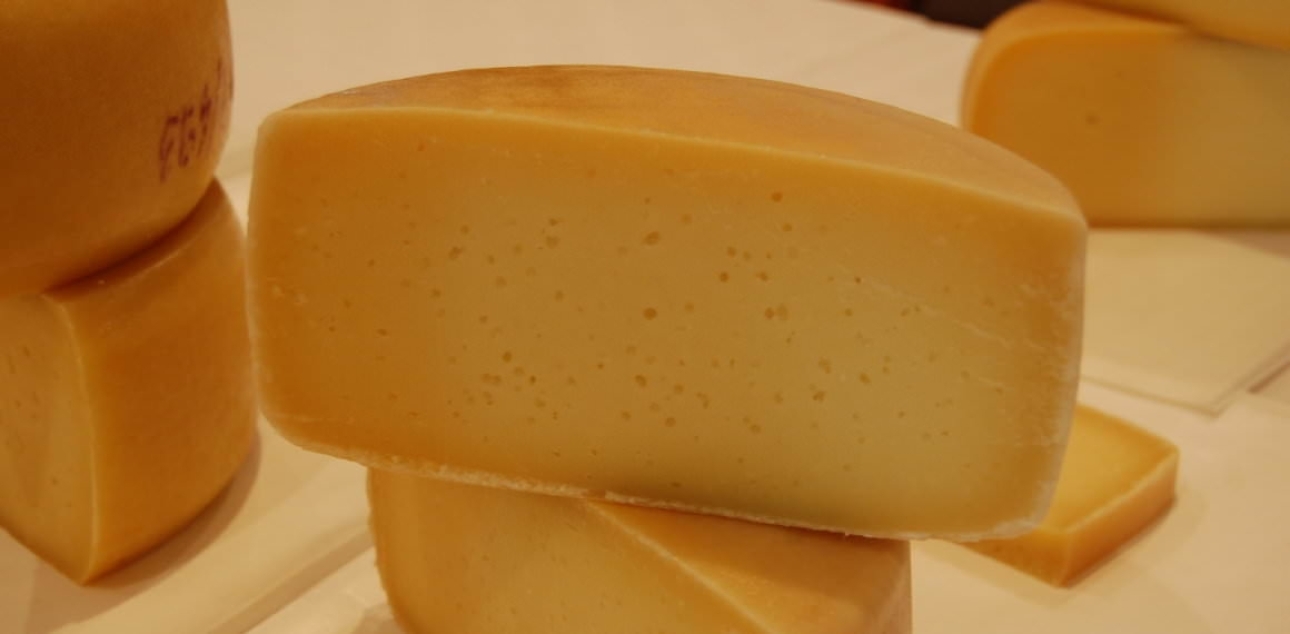 Bovec-Käse