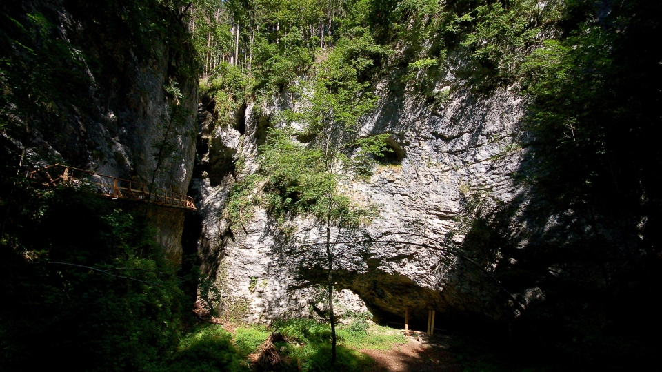 Pokljuka-Schlucht