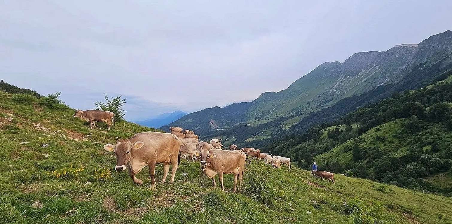 Kaj ima frika z Biosfernim območjem Julijske Alpe? Veliko.