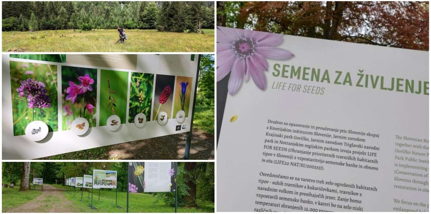 Seeds for life, exhibition