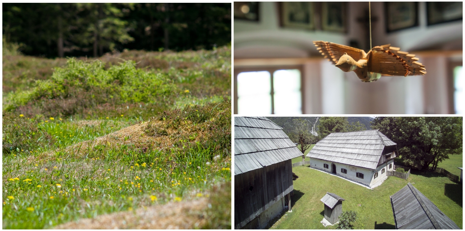 Season opening at Pocar Homestead
