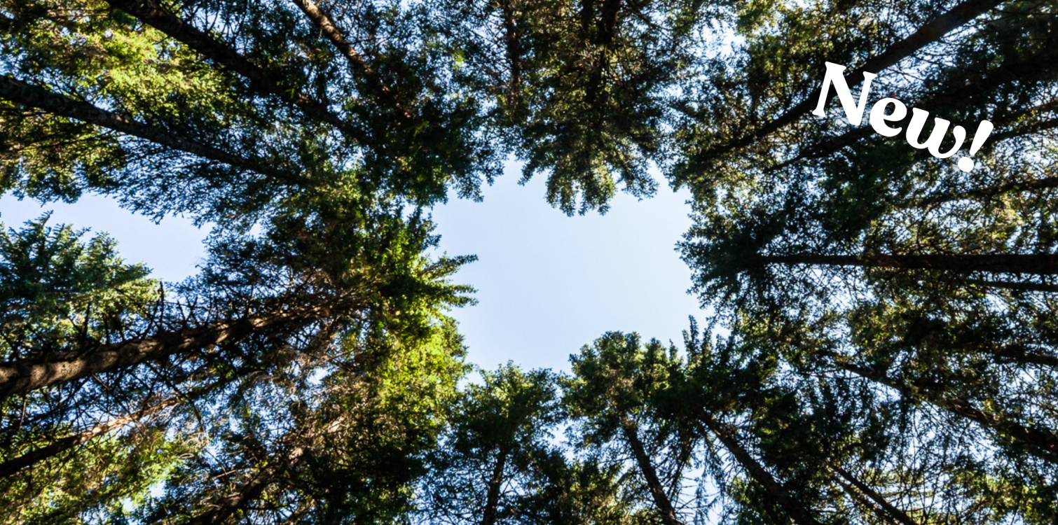 Mrzli studenec Nature Trail