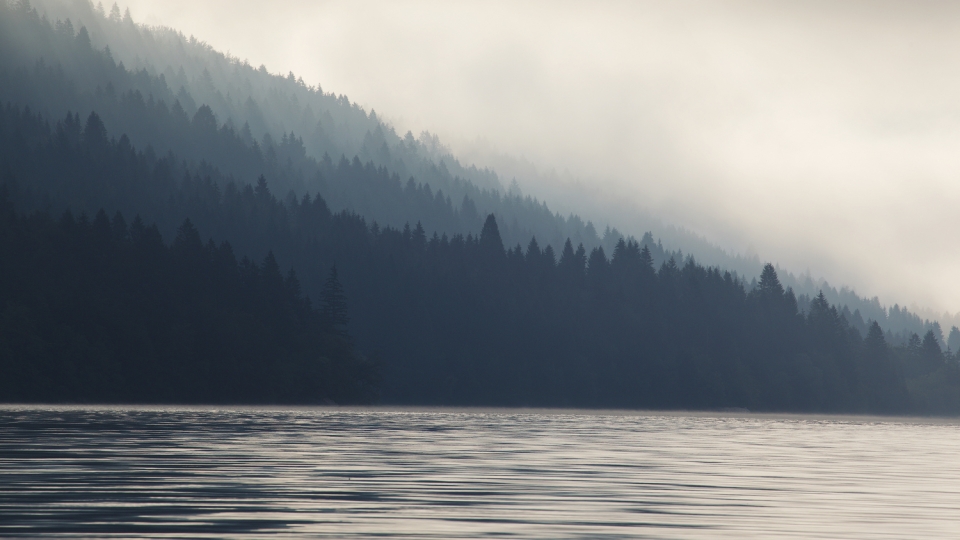 Lake Bohinj