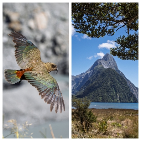 Aotearoa - potopisno predavanje o Novi Zelandiji