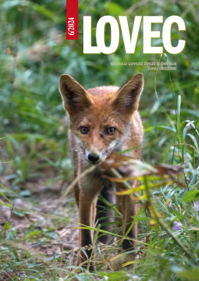 Lovec 2024-06