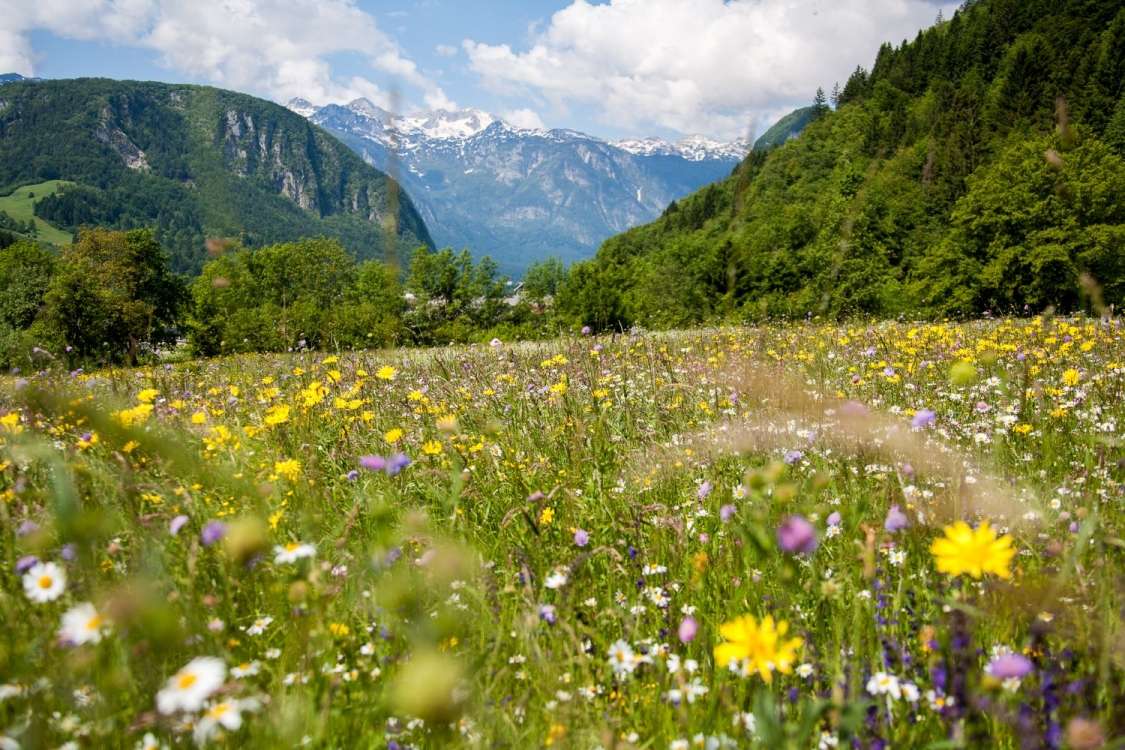 Čezalpski sporazum