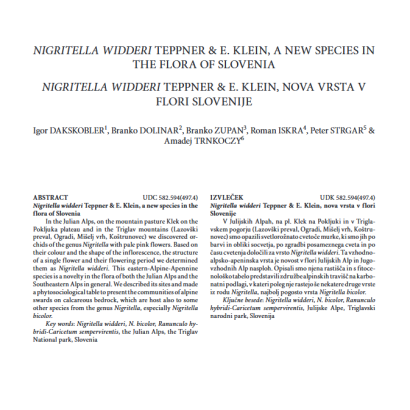Nigritella widderi Teppner & E. Klein, a new species in the flora of Slovenia
