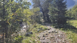 Lepena