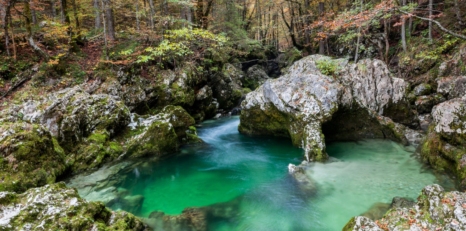 Z vodnikom skozi korita Mostnice