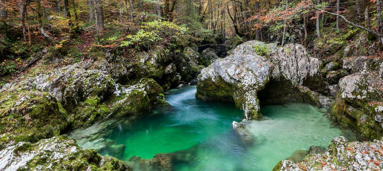 Mostnica Gorge – guided tour 