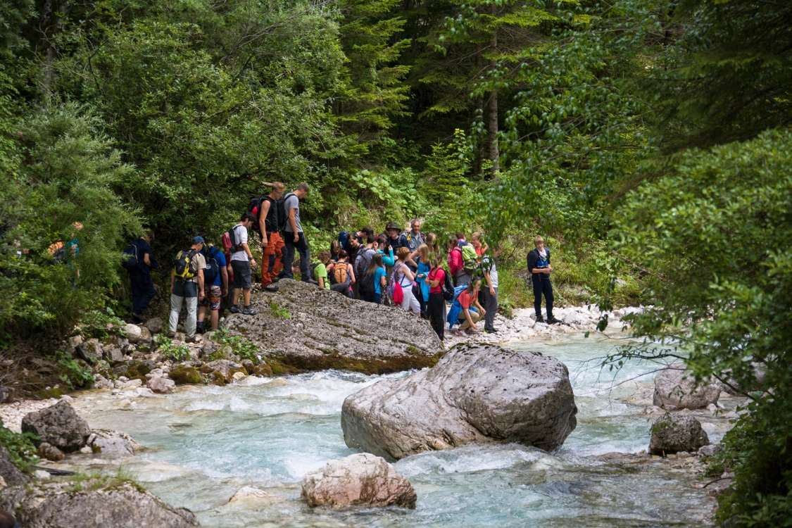 Triglavska Bistrica Trail