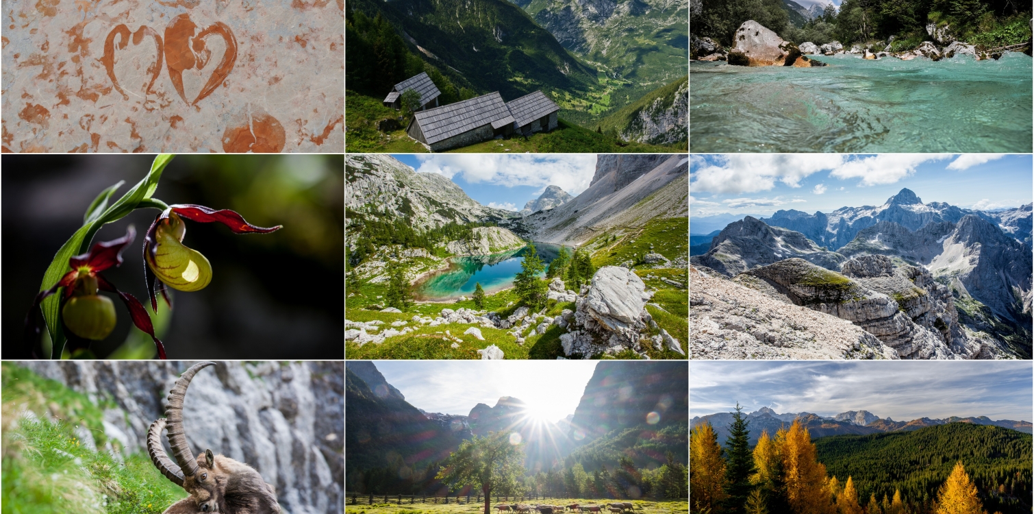 Pomen naravoslovne fotografije za varstvo Triglavskega narodnega parka, predavanje Aleša Zdešarja in razstava Magična narava