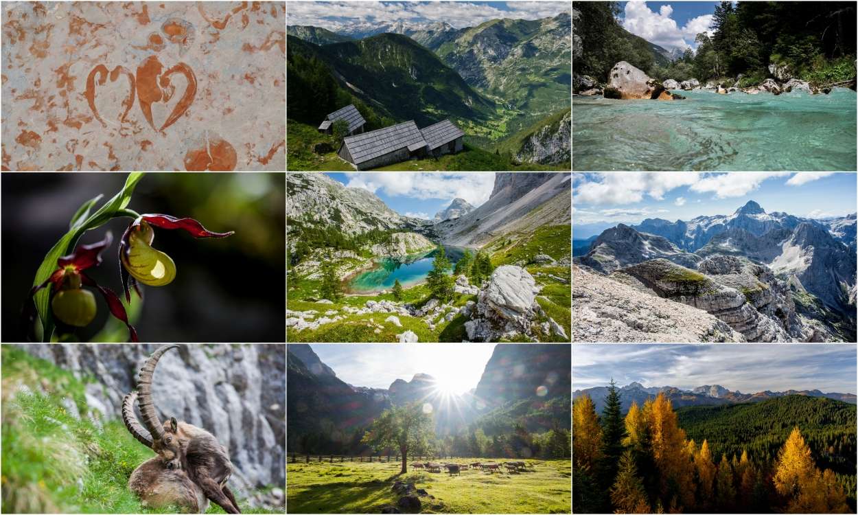 Pomen naravoslovne fotografije za varstvo Triglavskega narodnega parka, predavanje Aleša Zdešarja