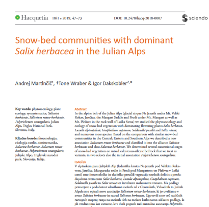 Snow-bed communities with dominant Salix herbacea in the Julian Alps
