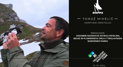 Sodobne raziskave divjega petelina, belke in planinskega orla v Triglavskem narodnem parku