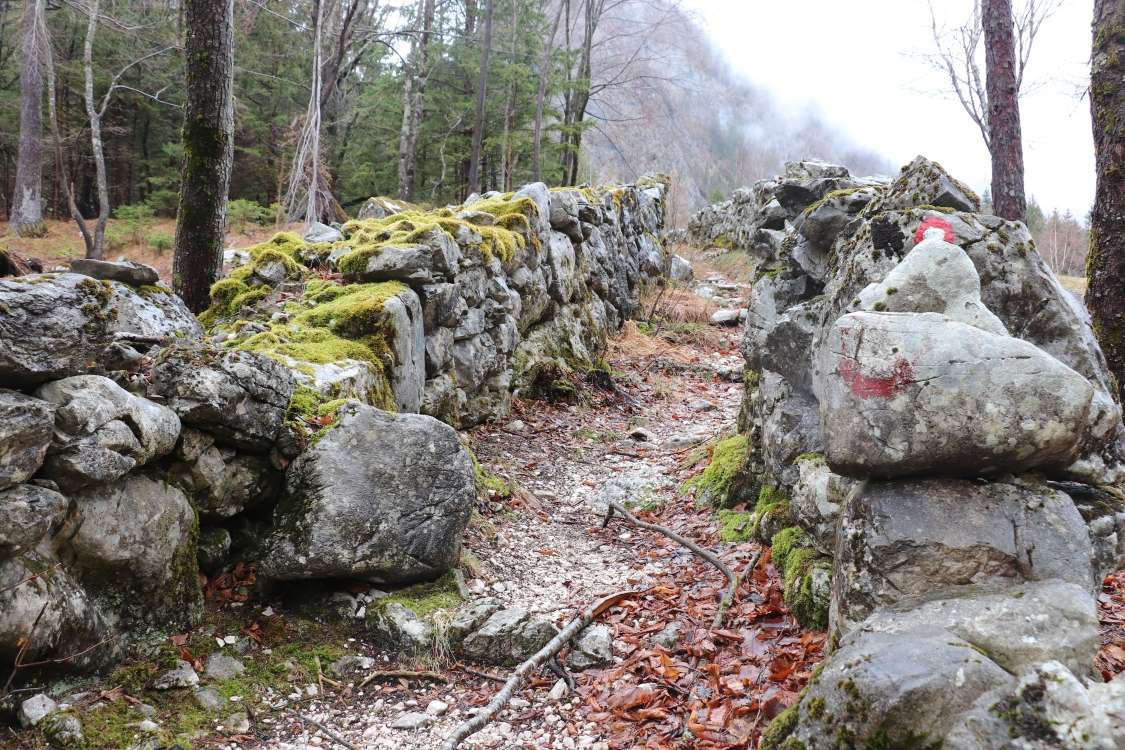 Suhozidna gradnja: Raziskovanje in obnavljanje suhozidov v različnih regijah Slovenije