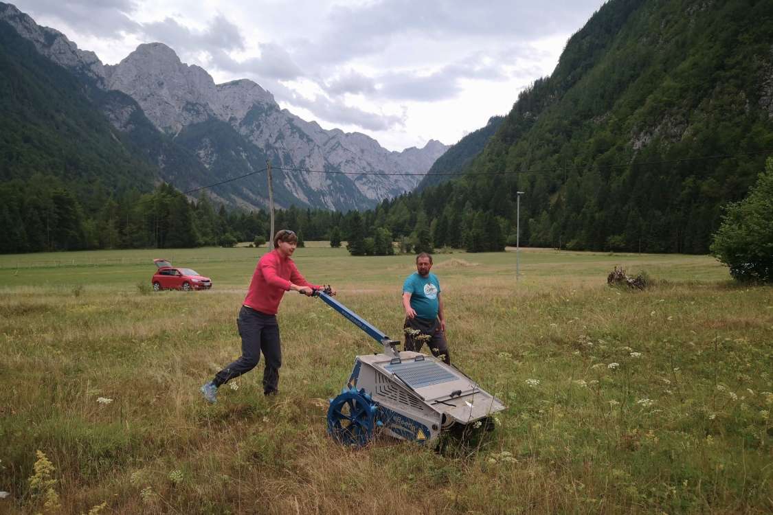 Demonstracijski dogodek - žetev semenske mešanice