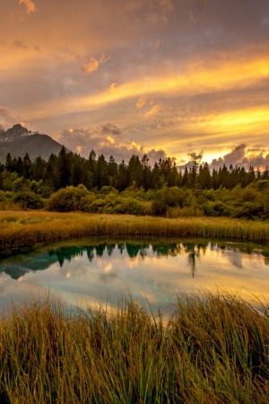 Naturschutzgebiet Zelenci