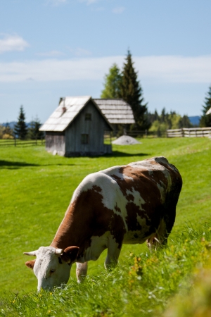 Landwirtschaft