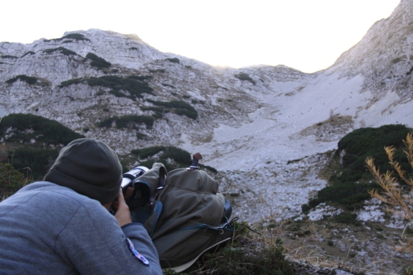 Na fotografiji je naravovarstveni nadzornik v gorah, ki z daljnogledom opazuje živali.