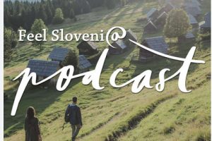 Exploring Triglav National Park: Stories of Summiting Slovenia's Iconic Peak and the Splendour of the Park