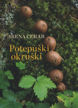 Potepuški okruški: kako sem hodila po robu