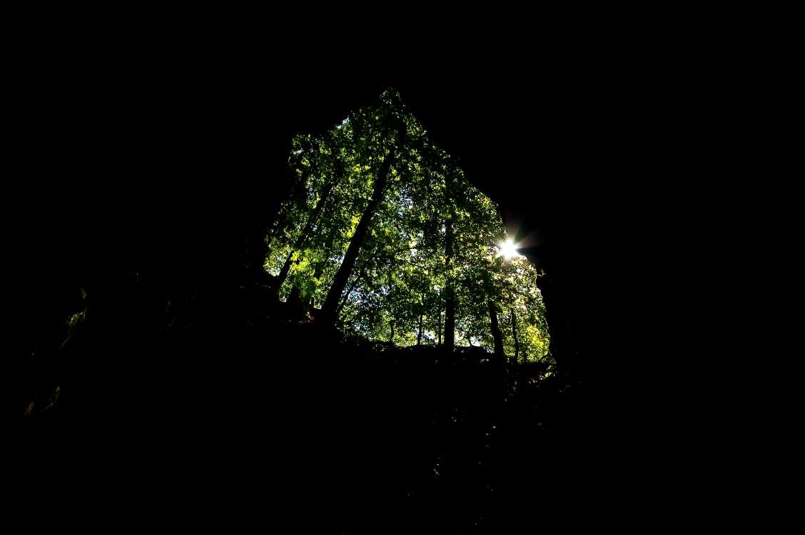 Guided tour through the Pokljuka Gorge 