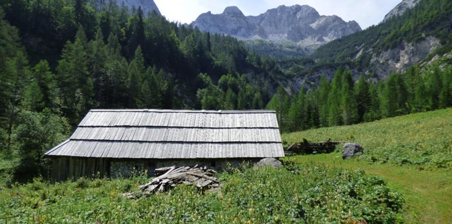 Ethnology of mountain pastoralism, free guided tour to Zapotok pasture