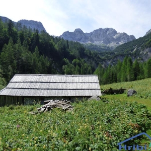 Etnologija planinskega pašništva, brezplačno vodenje na planino Zapotok